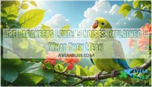 are parakeets loud 9 noises explained