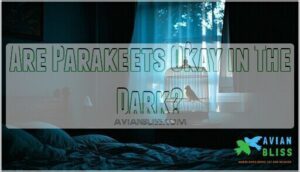are parakeets okay in the dark