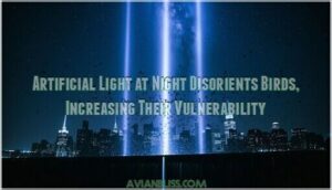 artificial light at night disorients birds, increasing their vulnerability