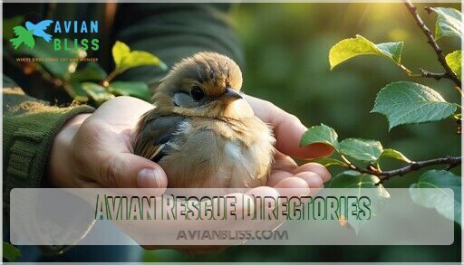 Find Local Bird Rescue Centers Near You - Emergency Wildlife Help