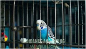 avoidance and hiding