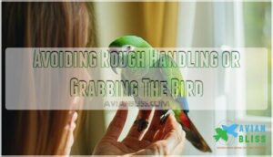 avoiding rough handling or grabbing the bird