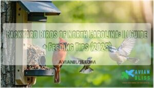 backyard birds of north carolina