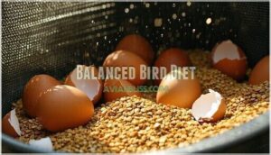 balanced bird diet