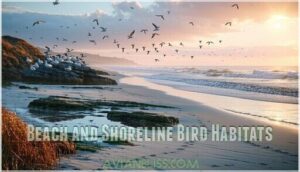 beach and shoreline bird habitats