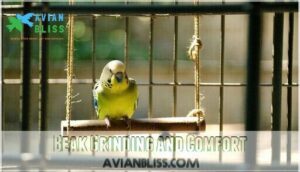 beak grinding and comfort