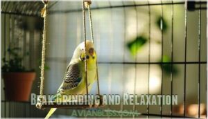 beak grinding and relaxation