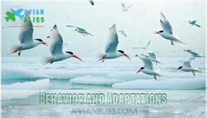 behavior and adaptations