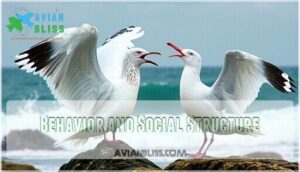 behavior and social structure