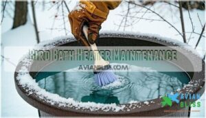 bird bath heater maintenance