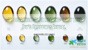 bird diarrhea color meaning bird diarrhea color meaning