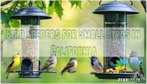 bird feeders for small birds in california