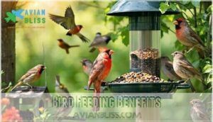 bird feeding benefits