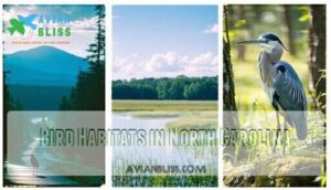 bird habitats in north carolina