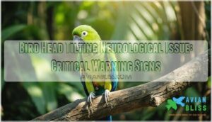 bird head tilting neurological issue