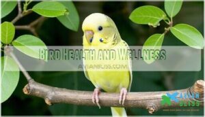 bird health and wellness bird health and wellness