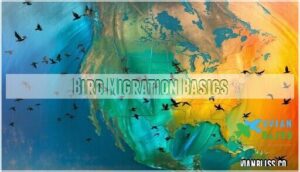 bird migration basics
