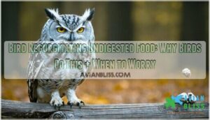 bird regurgitating undigested food behavior