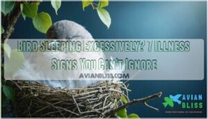 bird sleeping excessively possible illness bird sleeping excessively possible illness