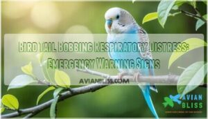 bird tail bobbing respiratory distress