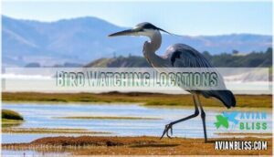 bird watching locations