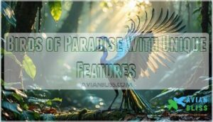 birds of paradise with unique features