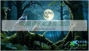 birds that sing at night
