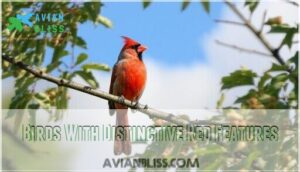 birds with distinctive red features
