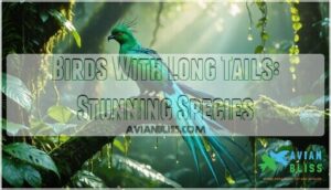 birds with long tails