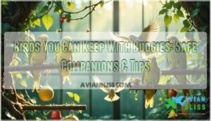 birds you can keep with budgies