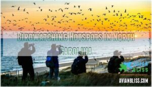 birdwatching hotspots in north carolina