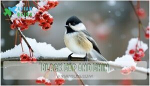 black cap and chin