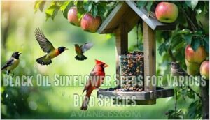 black oil sunflower seeds for various bird species