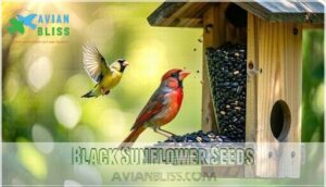 black sunflower seeds black sunflower seeds