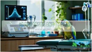 blood tests and imaging blood tests and imaging