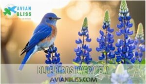 blue birds overview