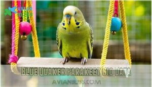 blue quaker parakeet bio data