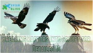 breaking raptors into groups for detailed id