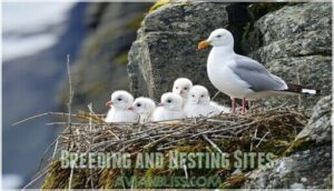 breeding and nesting sites