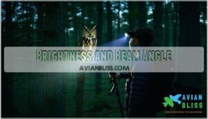 brightness and beam angle