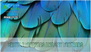 brittle feathers and dry feathers