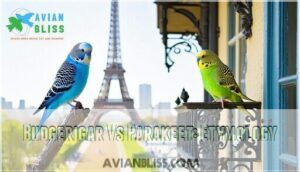 budgerigar vs parakeet: etymology