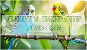 budgerigar vs parakeet: species and subspecies