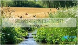 buffer strips importance buffer strips importance