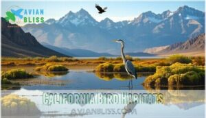 california bird habitats