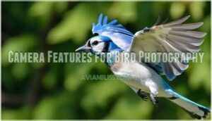 camera features for bird photography