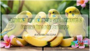 can birds eat bananas
