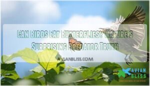 can birds eat butterflies