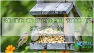 can birds eat oatmeal