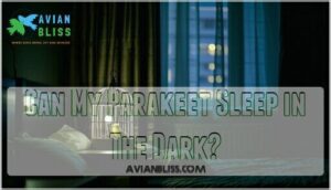 can my parakeet sleep in the dark